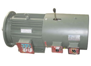 誰見過這種電機,哪個電機廠生產(chǎn)